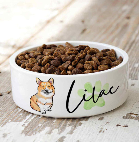 Personalized Dog Full Body Bowl, Custom Dog Name Bowl, Ceramic Colorful Paw Pet Bowl, Water Bowl Food Bowl for Cats Dogs, Dog Mom Dad Gifts