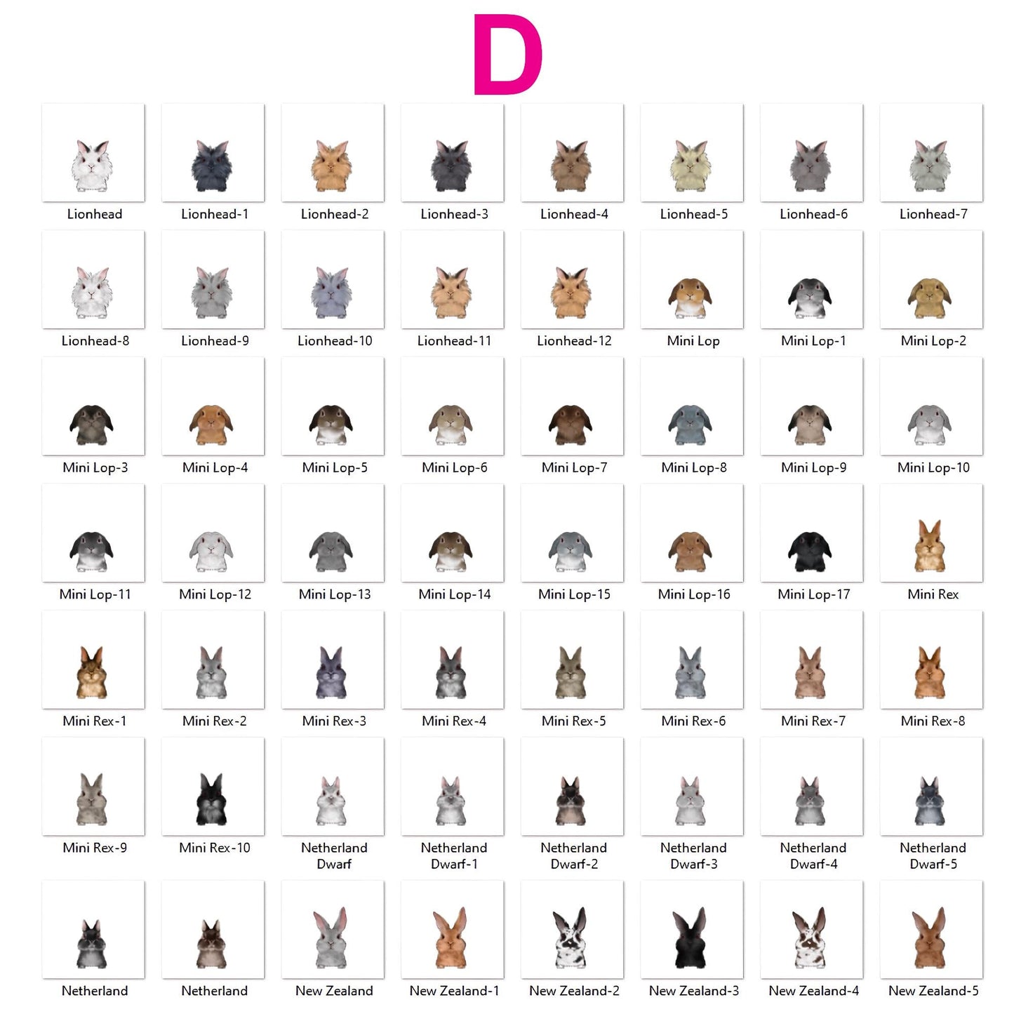 Personalized Cute Rabbit Carrot Bowl, Rabbit Gifts, Pet Accessories, Custom Bunny Bowl with Name, Funny Rabbit Dish for Water and Food