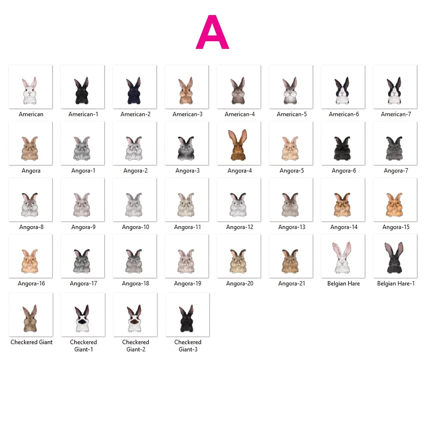 Personalized Cute Rabbit and Carrot Bowl, Custom Bunny Dish for Food & Water, Funny Rabbit Gifts, Pet Accessories with Name, Bunny Bowls