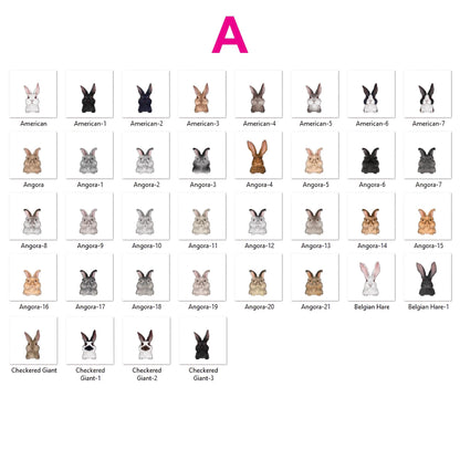 Personalized Cute Rabbit and Carrot Bowl, Custom Bunny Dish for Food & Water, Funny Rabbit Gifts, Pet Accessories with Name, Bunny Bowls