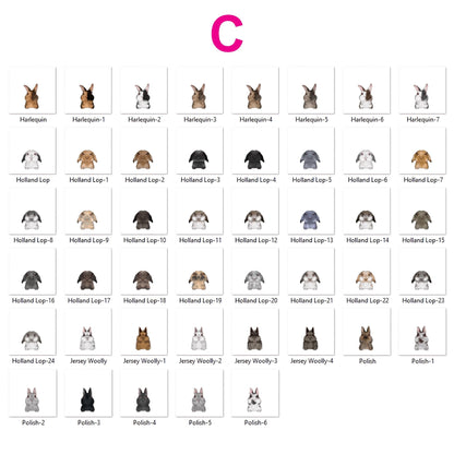 Personalized Cute Rabbit Carrot Bowl, Rabbit Gifts, Pet Accessories, Custom Bunny Bowl with Name, Funny Rabbit Dish for Water and Food