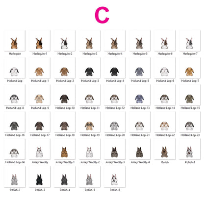 Personalized Cute Rabbit and Carrot Bowl, Custom Bunny Dish for Food & Water, Funny Rabbit Gifts, Pet Accessories with Name, Bunny Bowls