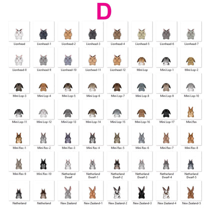 Personalized Cute Rabbit Carrot Bowl, Rabbit Gifts, Pet Accessories, Custom Bunny Bowl with Name, Funny Rabbit Dish for Water and Food