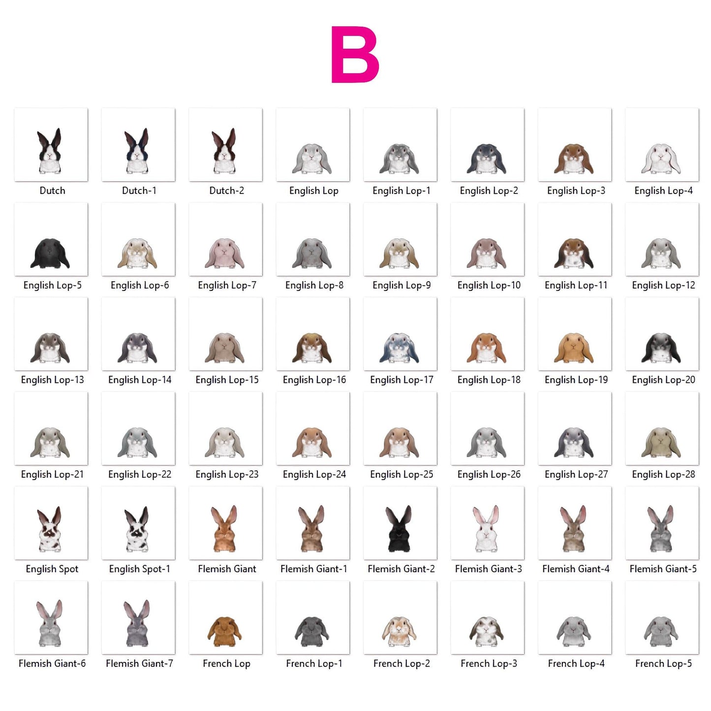 Personalized Cute Rabbit and Carrot Bowl, Custom Bunny Dish for Food & Water, Funny Rabbit Gifts, Pet Accessories with Name, Bunny Bowls