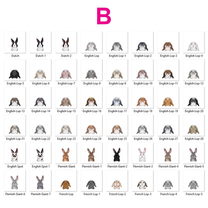 Personalized Cute Rabbit and Carrot Bowl, Custom Bunny Dish for Food & Water, Funny Rabbit Gifts, Pet Accessories with Name, Bunny Bowls